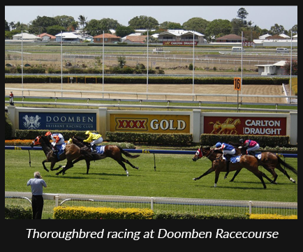 Thoroughbred racing at Doomben Racecourse